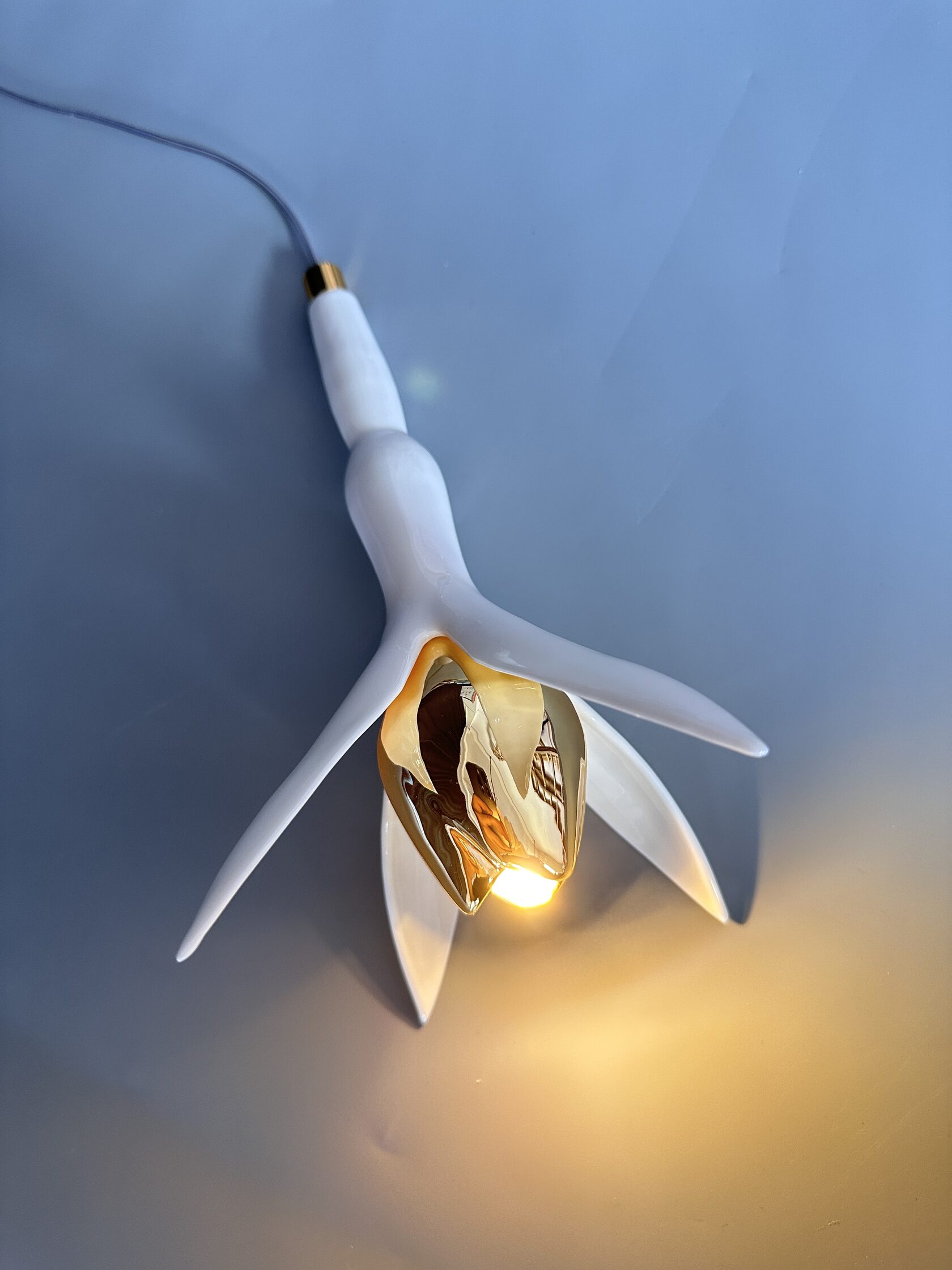 LC0363 - Light compositions made of crystal and glass - image 11 | Bachelieri
